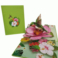 Pop-up groene kolibrie kaart